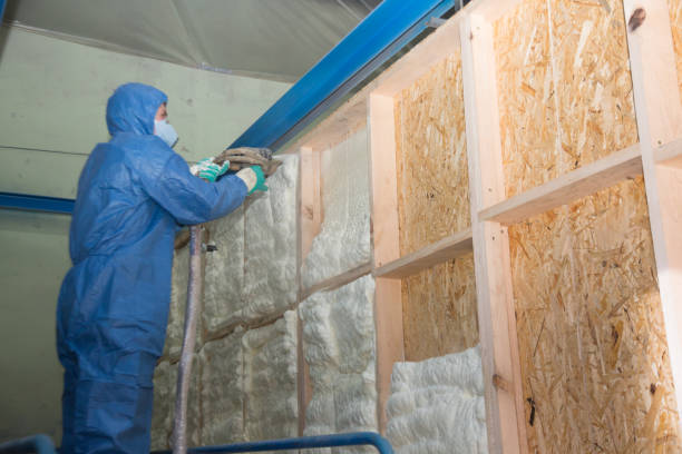 Best Attic Insulation Installation  in Eagle, WI