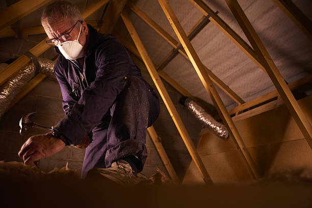 Best Attic Insulation Installation  in Eagle, WI